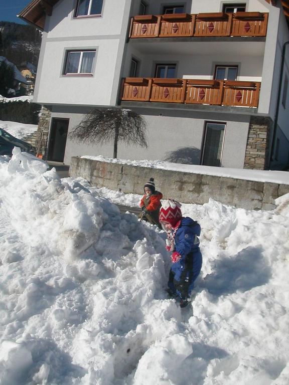 Haus Moni Apartment Mauterndorf  Exterior photo